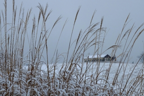 e0304001_14275313.jpg