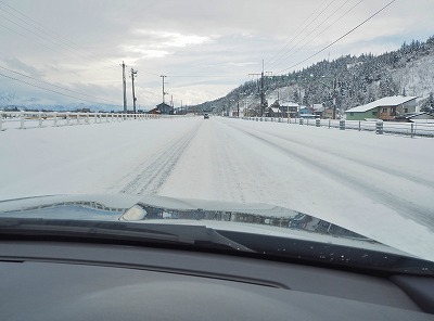 雪の日の重役出勤？_c0336902_1325826.jpg