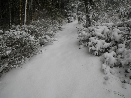 f0187402_19325739.jpg