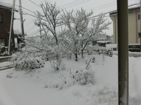 a0203003_11544833.jpg