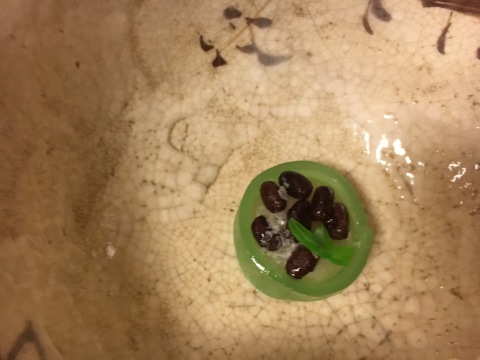 a0100706_19451688.jpeg