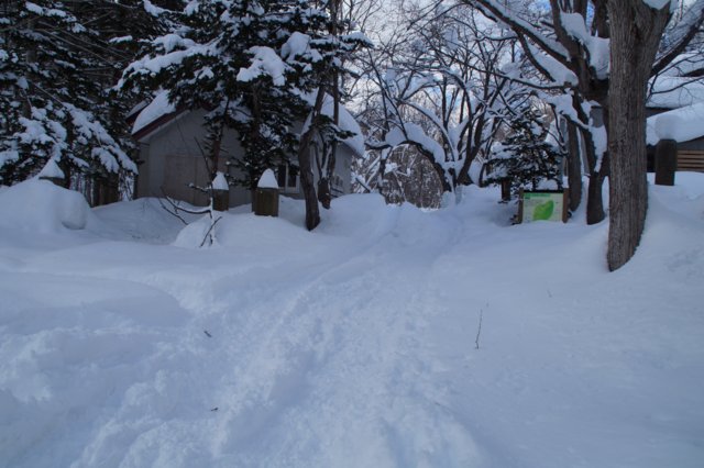 2016年1月23日(土)　奥三角山(標高354m)＆平和の滝_a0345007_9165569.jpg