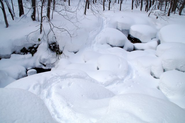 2016年1月23日(土)　奥三角山(標高354m)＆平和の滝_a0345007_919616.jpg