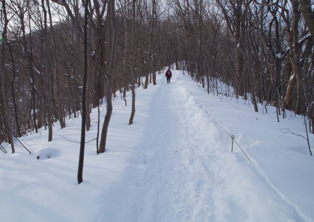 2016年1月23日(土)　奥三角山(標高354m)＆平和の滝_a0345007_994650.jpg