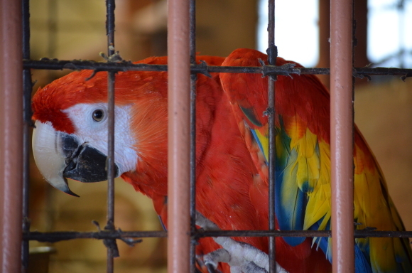 【車で】冬の動物園にいってみた【おでかけ】_c0336907_21360452.jpg