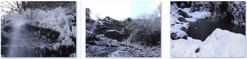 f0231709_22245784.gif