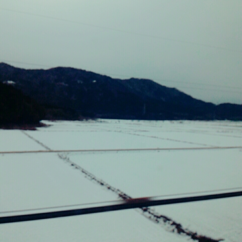 d0021510_17282918.jpg