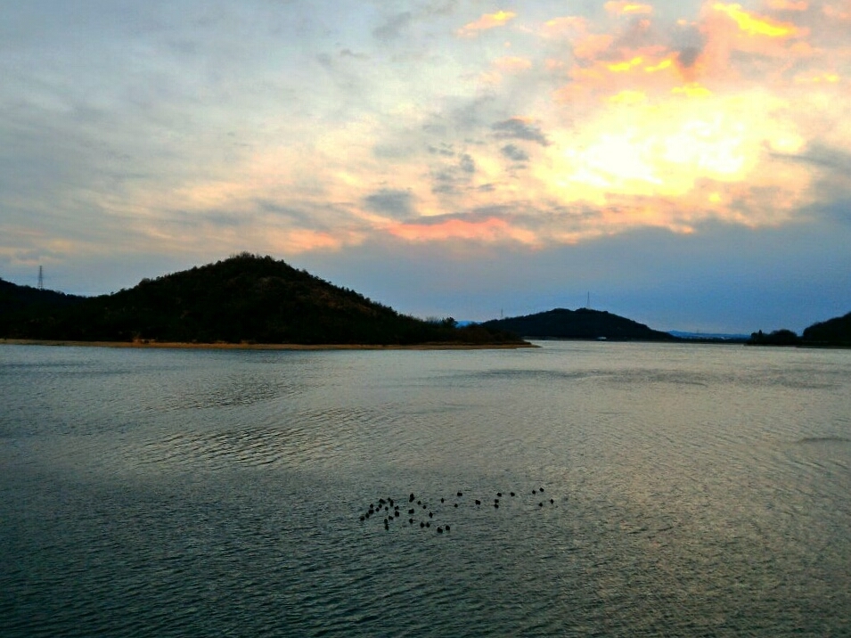 d0021510_17284728.jpg