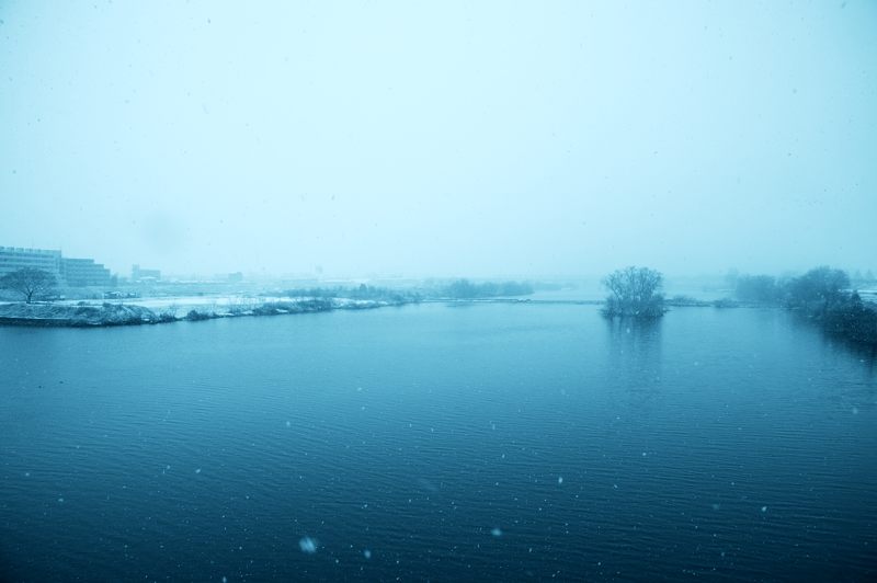 f0032011_17363710.jpg