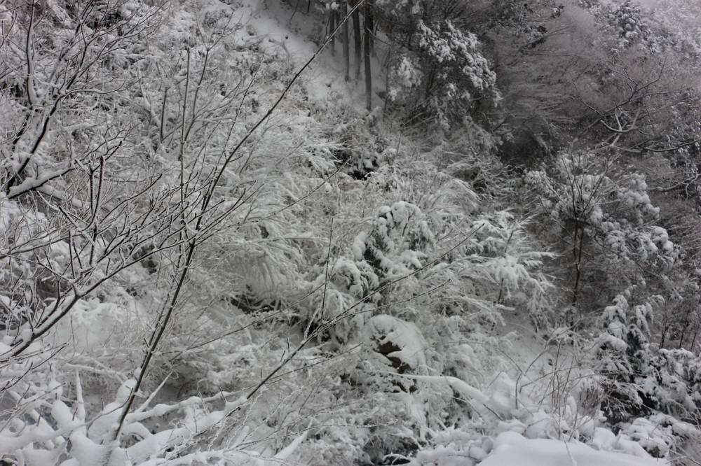 寒波襲来、今日は難所ヶ滝へ_f0212511_22563924.jpg