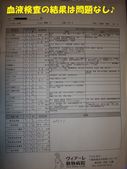 f0121712_16193814.jpg