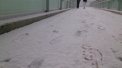 雪やこんこん♪_b0228113_11351181.jpg