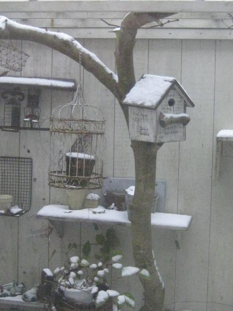 c0085916_19162429.jpg