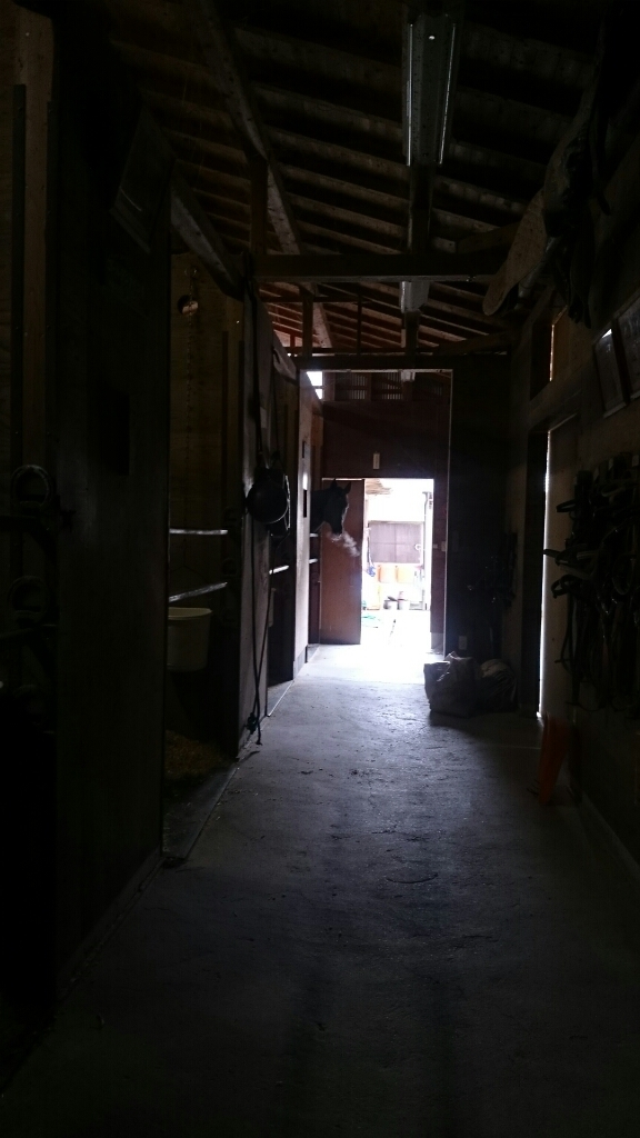 b0187620_21145800.jpg