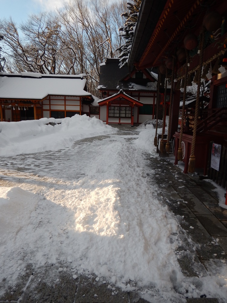 雪降り_c0111229_17471069.jpg