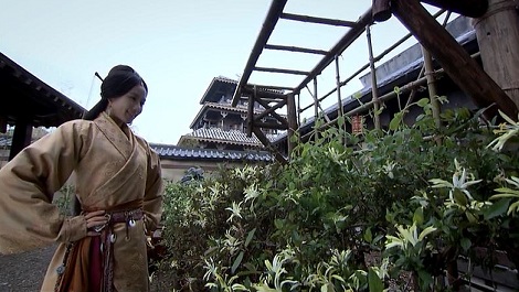 華ドラ「風中の縁」第14話まで♪_a0198131_201995.jpg