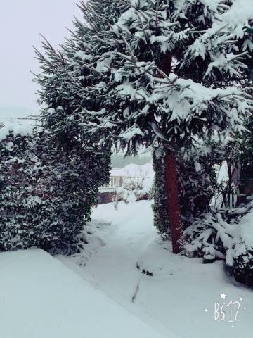 c0117831_21540245.jpg