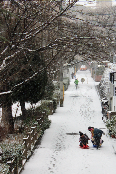 福岡市内にも大寒波襲来　2016年1月24日_a0129233_11304785.jpg