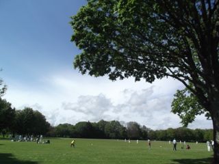 e0074833_14483343.jpg