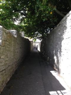 e0074833_1451719.jpg