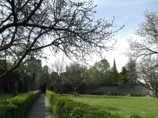 e0074833_1521166.jpg