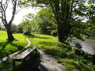 e0074833_157527.jpg