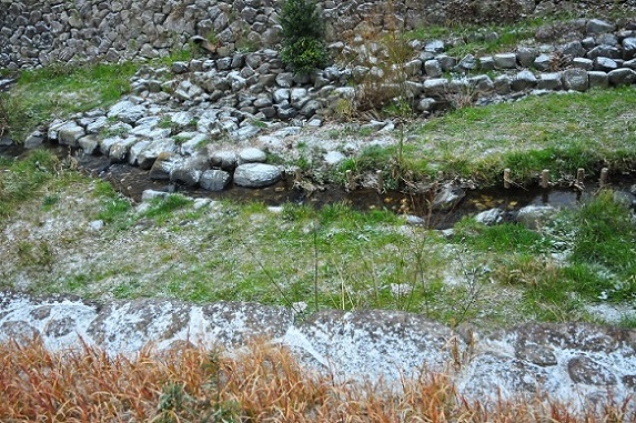 c0142535_19525391.jpg