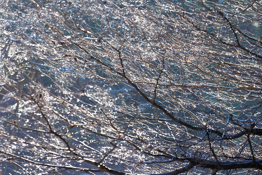 c0067040_21455850.jpg