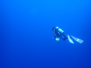 与那国島②_f0233340_1642143.jpg