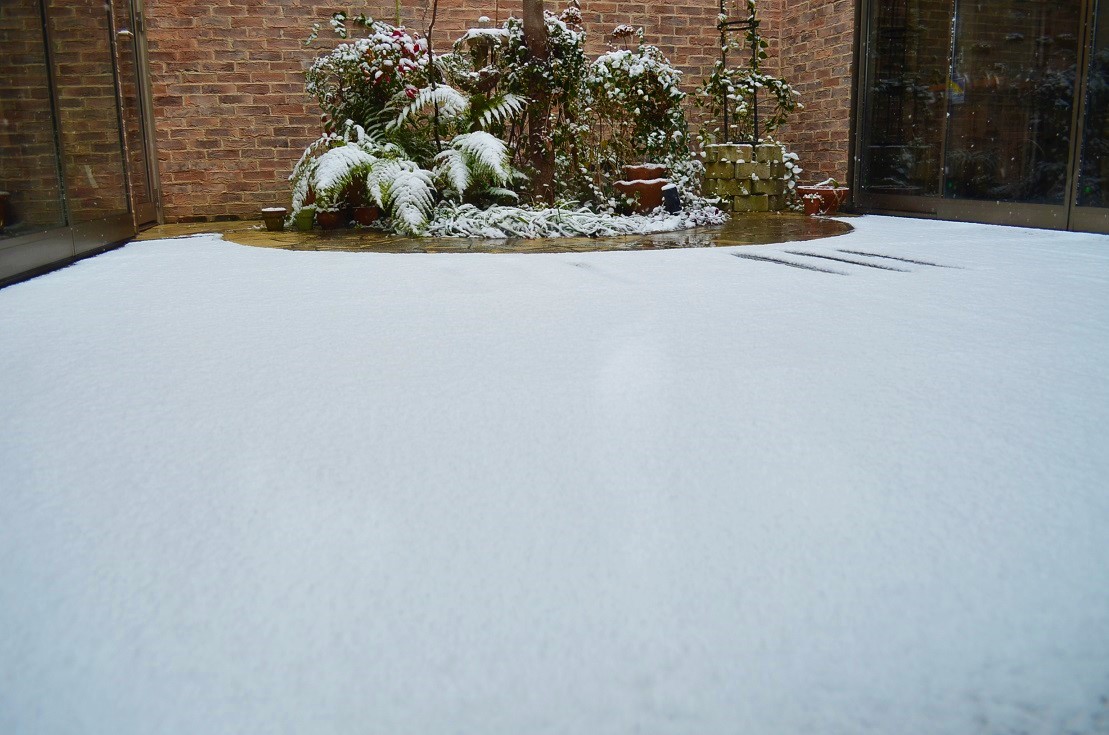 ”Today\'s Heavy Snow　1/24 in the morning。。。 ”_d0153941_1121540.jpg