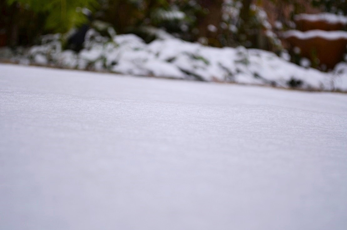 ”緊急！本日積雪の為・・・”_d0153941_15583083.jpg