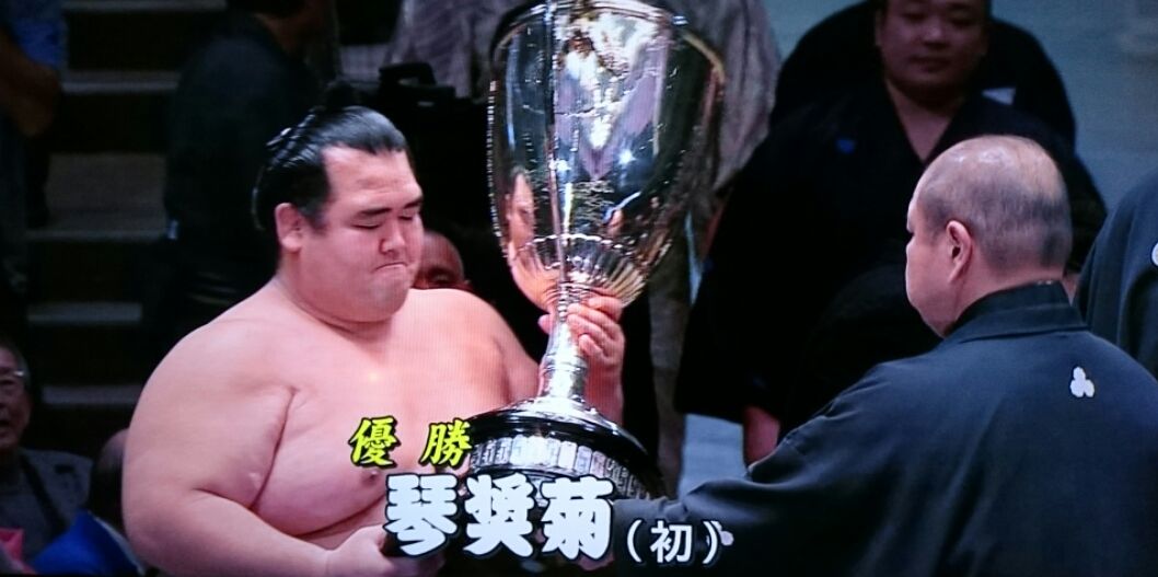 琴奨菊_f0081443_22355871.jpg