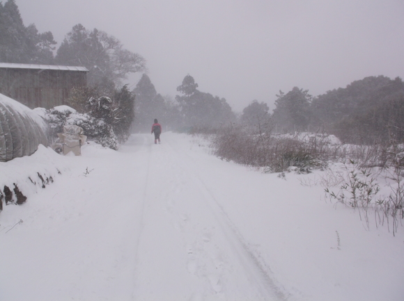 佐世保は大雪 時々吹雪_a0206345_17224344.jpg