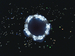 e0005548_23262983.gif