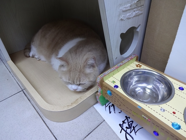 帰り掛けにも忌廉哥 _b0248150_06413423.jpg