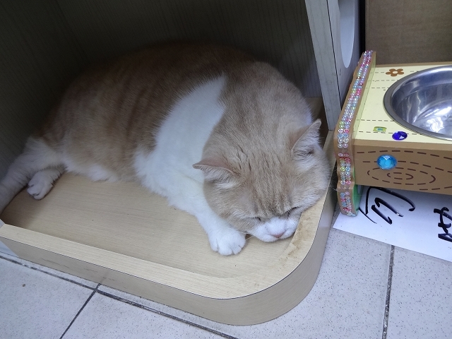 帰り掛けにも忌廉哥 _b0248150_06425185.jpg