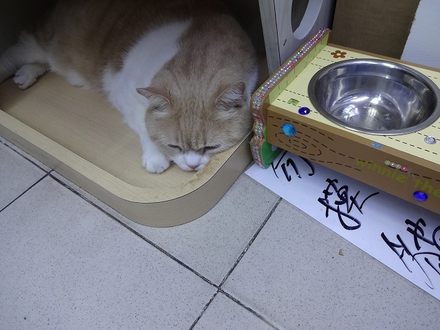 帰り掛けにも忌廉哥 _b0248150_06473569.jpg