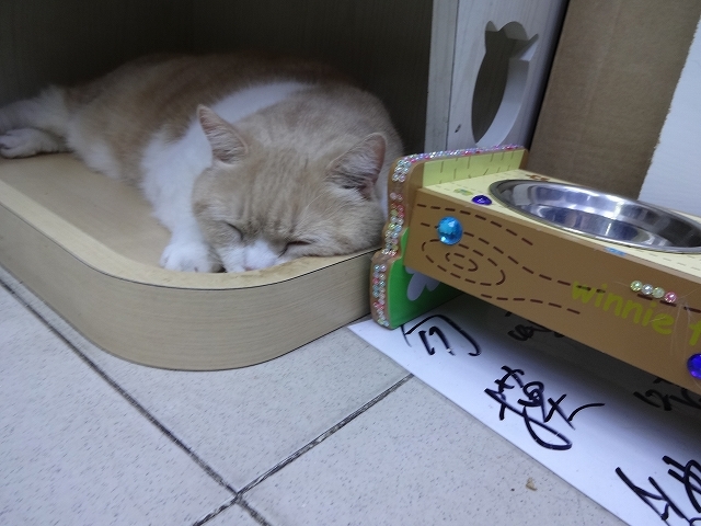 帰り掛けにも忌廉哥 _b0248150_06475216.jpg