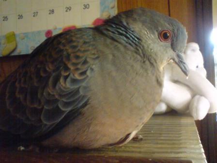 束の間の休息_f0246254_17360686.jpg