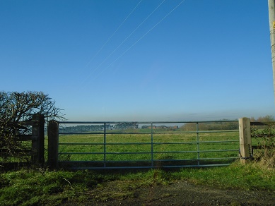 e0010856_37294.jpg