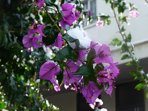 d0156557_17491112.jpg