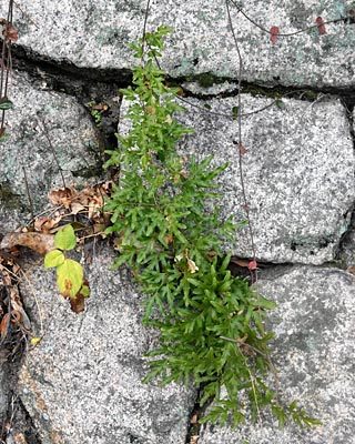 e0035757_23221098.jpg