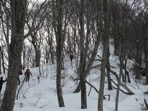 c0294658_19230970.jpg