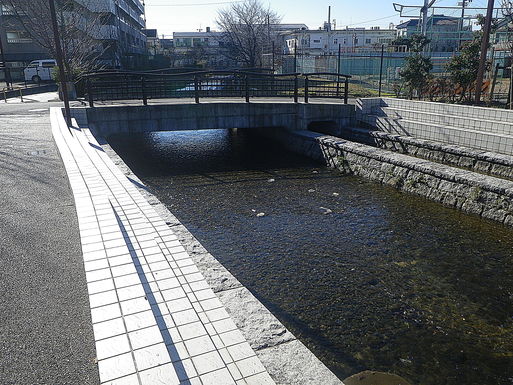 f0156359_15415034.jpg