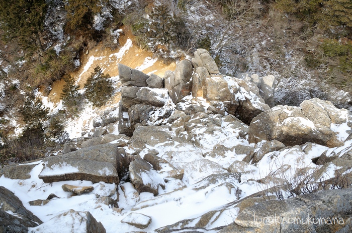 c0246261_1610887.jpg