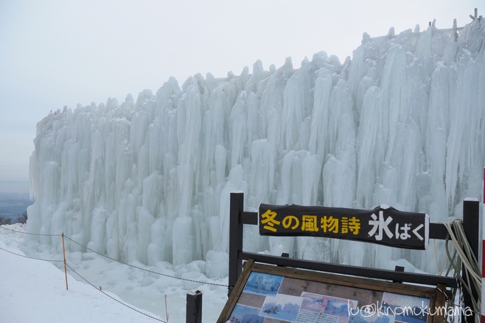 c0246261_16281475.jpg