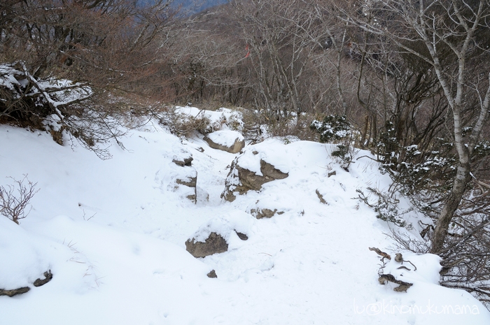 c0246261_16311044.jpg