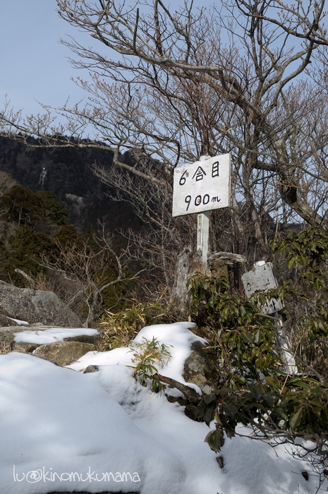 c0246261_169414.jpg