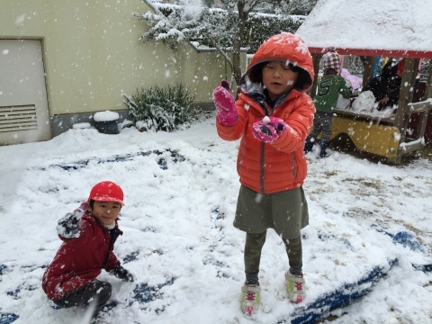 f0324461_10510206.jpeg