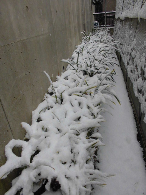 f0318967_15150857.jpg